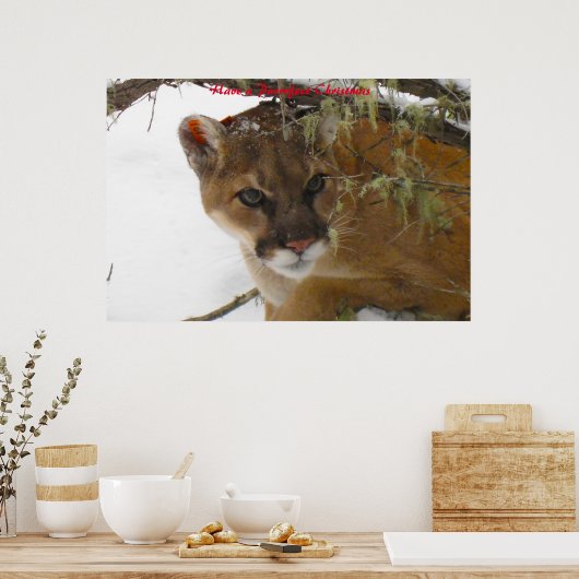 Een doorschijnend kerstfeest hebben poster (Keuken)