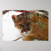 Een doorschijnend kerstfeest hebben poster (Voorkant)