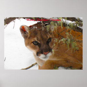 Een doorschijnend kerstfeest hebben poster