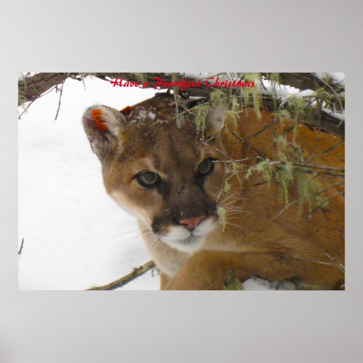 Een doorschijnend kerstfeest hebben poster (Voorkant)