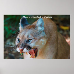 Een doorschijnend kerstfeest hebben poster