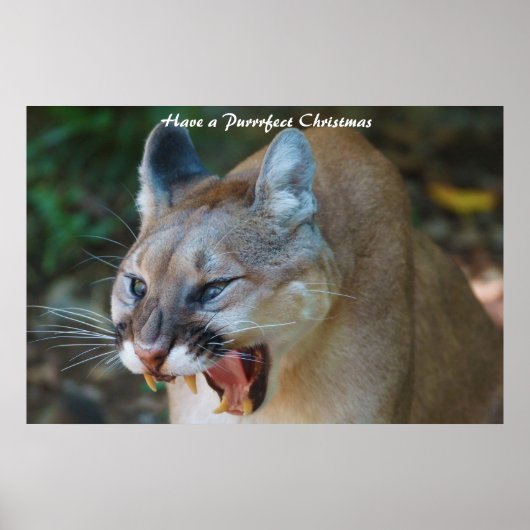 Een doorschijnend kerstfeest hebben poster (Voorkant)