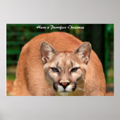 Een doorschijnend kerstfeest hebben poster (Voorkant)