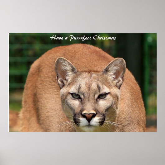 Een doorschijnend kerstfeest hebben poster (Voorkant)