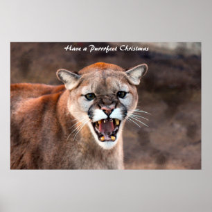 Een doorschijnend kerstfeest hebben poster