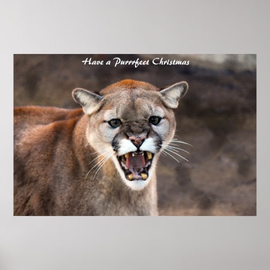 Een doorschijnend kerstfeest hebben poster (Voorkant)