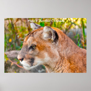 Een doorschijnend kerstfeest hebben poster