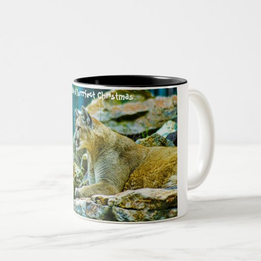 Een doorschijnend kerstfeest hebben tweekleurige koffiemok (Voorkant rechts)