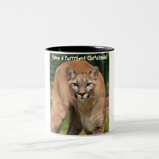 Een doorschijnend kerstfeest hebben tweekleurige koffiemok (Center)