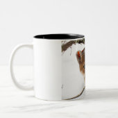 Een doorschijnend kerstfeest hebben tweekleurige koffiemok (Links)