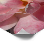 Een doorschijnendheid op roze roze Poster (Hoek)