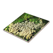 Een dorp in paddenstoelen tegeltje (Zijkant)