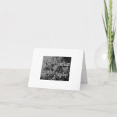 Een douche van het Huwelijk van Mardi Gras (Achterkant)