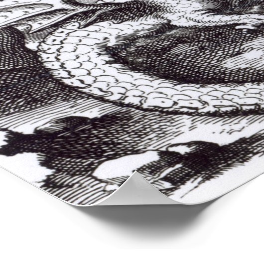 Een draak in het bos poster (Hoek)