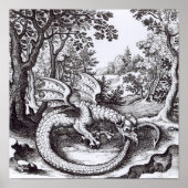 Een draak in het bos poster (Voorkant)