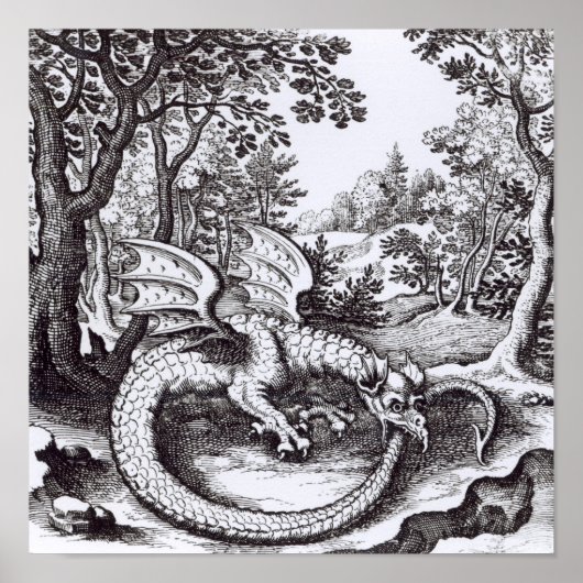 Een draak in het bos poster (Voorkant)