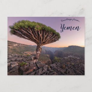 Een dragobloedboom in Socotra Jemen Briefkaart