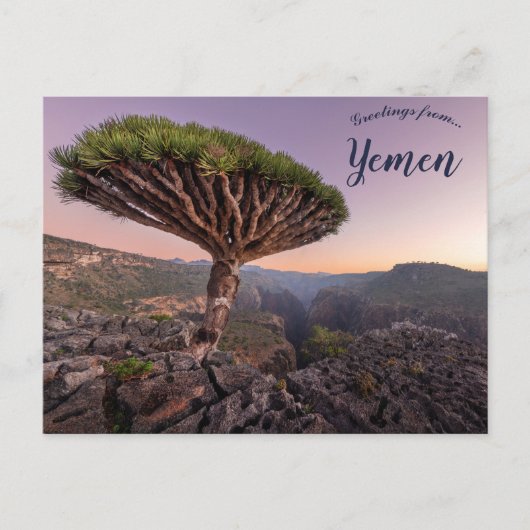 Een dragobloedboom in Socotra Jemen Briefkaart (Voorkant)