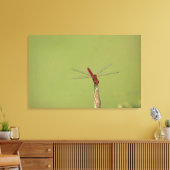 Een Dragonfly rust tijdelijk op een gedroogd onkru Canvas Afdruk (Insitu (Woonkamer))