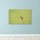 Een Dragonfly rust tijdelijk op een gedroogd onkru Canvas Afdruk (Insitu (Houten vloer))