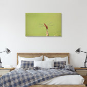 Een Dragonfly rust tijdelijk op een gedroogd onkru Canvas Afdruk (Insitu (Slaapkamer))