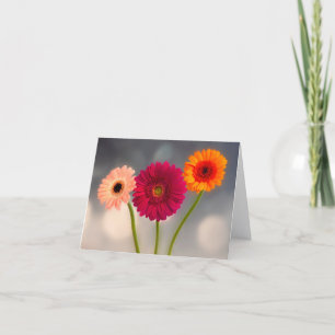 Een drietal Gerbera's Vouwbare Wenskaart Kaart