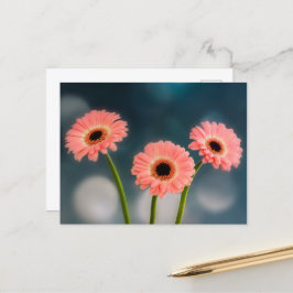 Een drietal roze Gerbera's ansichtkaart Briefkaart