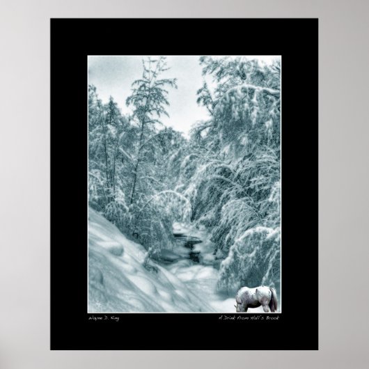 Een Drink van Hall's Brook - Fine Art Poster (Voorkant)