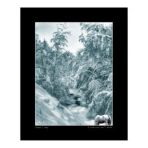 Een Drink van Hall's Brook - Fine Art Poster