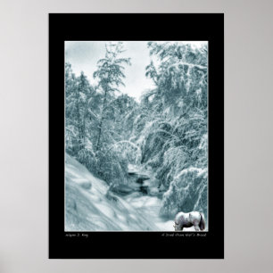 Een Drink van het Poster van de Halls Brook