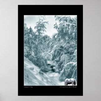 Een Drink van het Poster van de Halls Brook