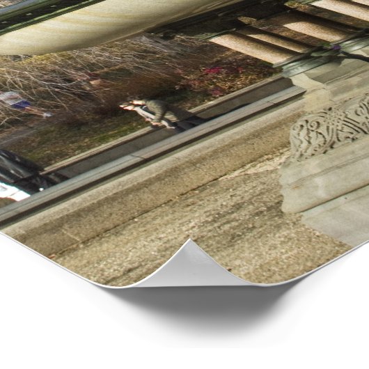 Een droge winter van de Berg Bethesda in Central P Poster (Hoek)