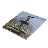 Een droge winter van de Berg Bethesda in Central P Tegeltje (Zijkant)