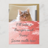 Een droom van een kat! briefkaart (Voorkant)