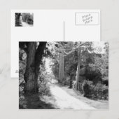 Een droom van Zwart-wit Briefkaart (Voorkant / Achterkant)