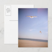 een droomachtig afbeelding van de zeegarenden die briefkaart (Voorkant / Achterkant)