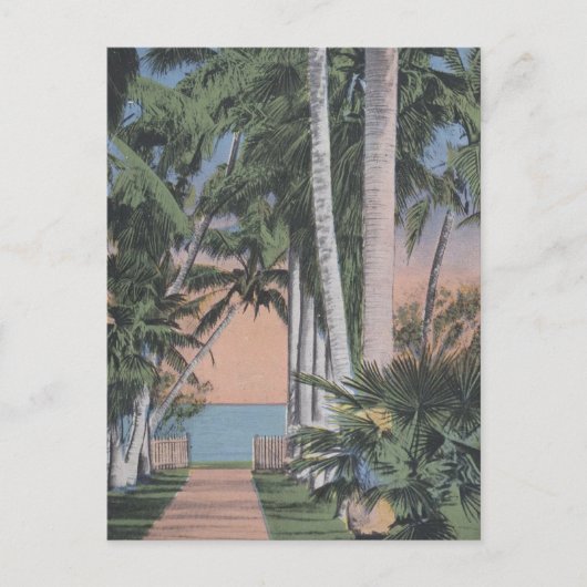 Een droomachtige Florida-site Briefkaart (Voorkant)