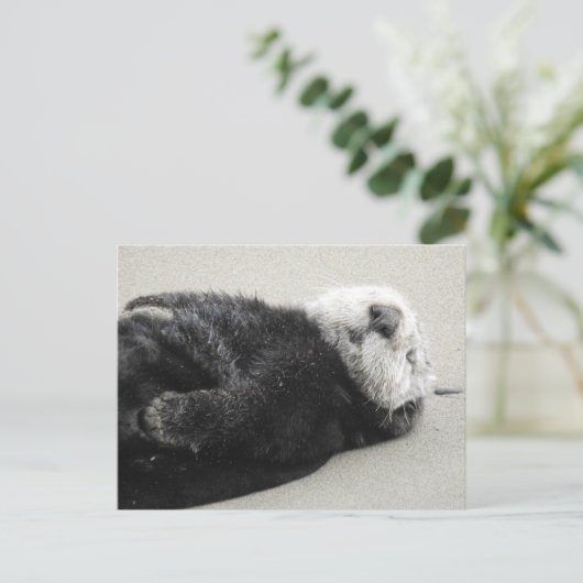 Een droomotmachine zee briefkaart (Staand voorkant)