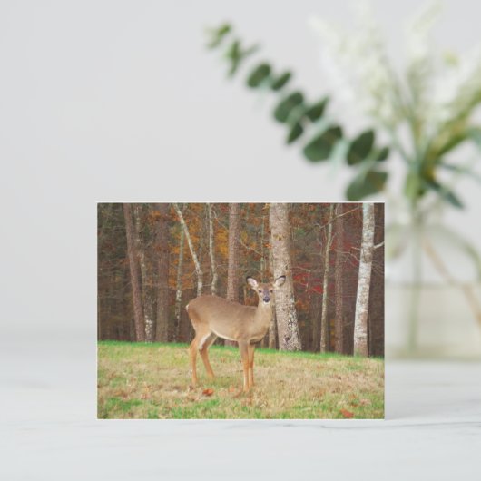 Een droomspeler van de Hunter Briefkaart (Staand voorkant)