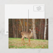 Een droomspeler van de Hunter Briefkaart (Voorkant / Achterkant)