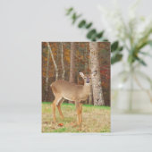 Een droomspeler van de Hunter Briefkaart (Staand voorkant)