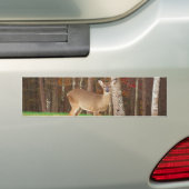 Een droomspeler van de Hunter Bumpersticker (Op auto)