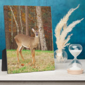 Een droomspeler van de Hunter Fotoplaat (Zijkant)