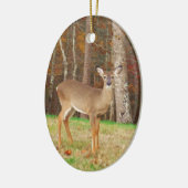 Een droomspeler van de Hunter Keramisch Ornament (Links)