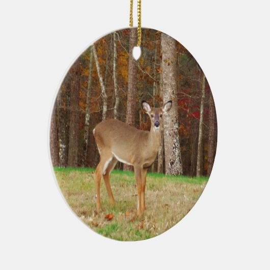 Een droomspeler van de Hunter Keramisch Ornament (Rechts)