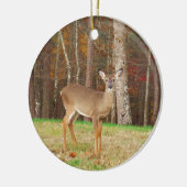 Een droomspeler van de Hunter Keramisch Ornament (Links)