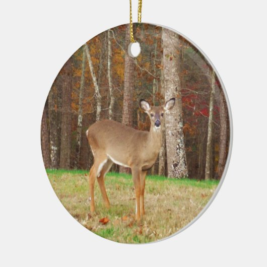 Een droomspeler van de Hunter Keramisch Ornament (Links)