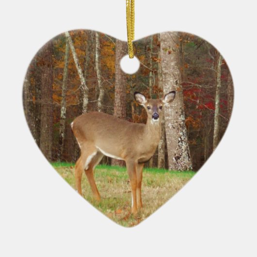 Een droomspeler van de Hunter Keramisch Ornament (Voorkant)