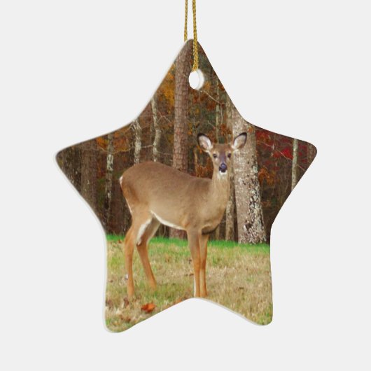 Een droomspeler van de Hunter Keramisch Ornament (Rechts)