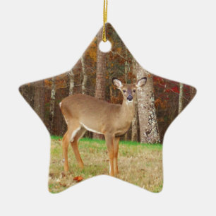 Een droomspeler van de Hunter Keramisch Ornament